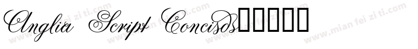 Anglia Script Concis字体转换